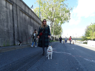 Illustration de l'article : Une Marche de l'Animal en ville pour remettre 10 propositions concrètes à l'Assemblée nationale