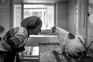Illustration de l'article : 14 superbes clichés illustrant le quotidien des bénévoles dans un refuge pour animaux
