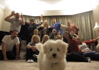 Illustration de l'article : 20 chiens qui ont décidé de ruiner la photo qui s'annonçait parfaite
