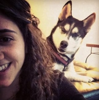Illustration de l'article : 20 chiens qui ont décidé de ruiner la photo qui s'annonçait parfaite