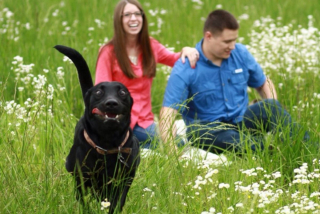 Illustration de l'article : 20 chiens qui ont décidé de ruiner la photo qui s'annonçait parfaite