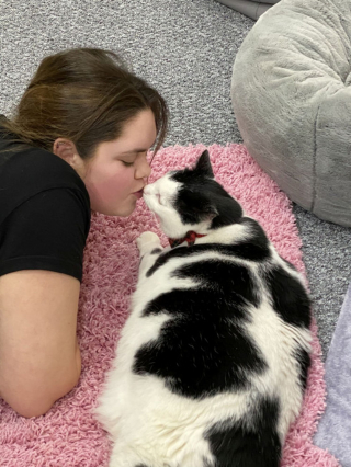 Illustration de l'article : Une femme ayant dépensé des milliers d'euros pour faire un régime à son chat est contrainte de verrouiller son réfrigérateur