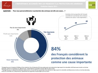 Illustration de l'article : Les Français et la cause animale : un enjeu sociétal et politique de plus en plus fort