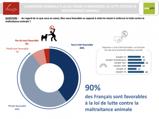 Illustration de l'article : Les Français et la cause animale : un enjeu sociétal et politique de plus en plus fort