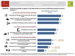 Illustration de l'article : Les Français et la cause animale : un enjeu sociétal et politique de plus en plus fort