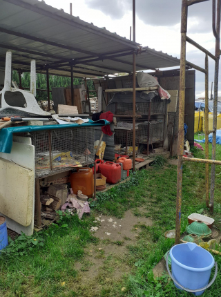 Illustration de l'article : La SPA met fin au calvaire de 9 chats enfermés dans des cages durant 7 ans. Une enquête est ouverte