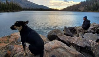 Illustration de l'article : A la recherche d’un chien perdu depuis 5 jours, des bénévoles parcourent plus de 22 km à travers les montagnes enneigées