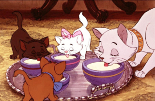 Illustration de l'article : 20 chats de dessins animés célèbres que l'on rêverait de rencontrer en vrai !