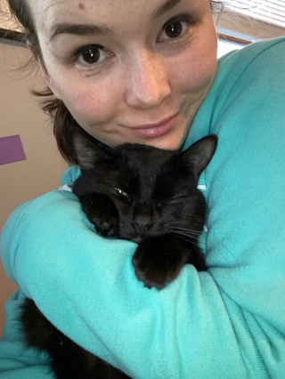 Illustration de l'article : 18 photos sur le parcours de 3 chatons passant des ordures à un foyer rempli d'amour