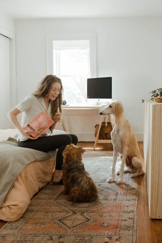 Illustration de l'article : 6 anecdotes où un chien a stupéfait son maître grâce à son intelligence