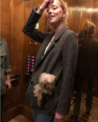 Illustration de l'article : Des excréments de chien ou non dans le lit conjugal ? Le récit sordide de Johnny Depp dans son procès avec son ex-femme Amber Heard