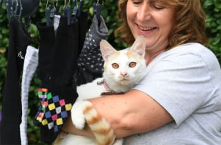 Illustration de l'article : Charlie, le chat cleptomane qui vole toutes les chaussettes du quartier qu’il trouve