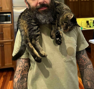 Illustration de l'article : 20 photos hilarantes de chats au comportement étrange et qui ne les rend que plus attachants