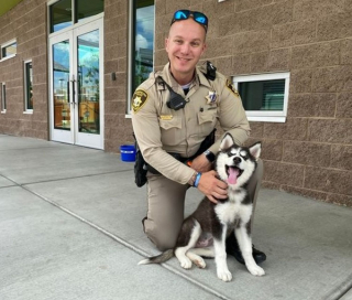 Illustration de l'article : Le Husky enfermé dans une voiture pendant que son maître jouait au casino a trouvé une nouvelle famille