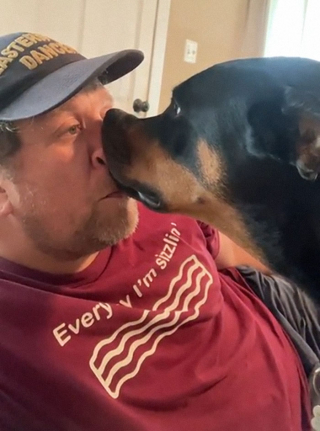 Illustration de l'article : 20 photos hilarantes de chiens qui ont un bug