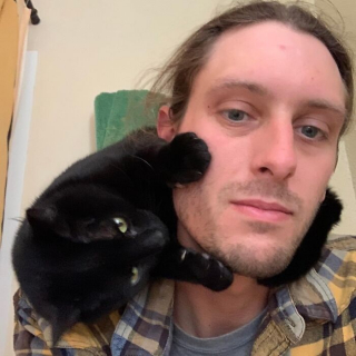Illustration de l'article : 20 photos illustrant le caractère imprévisible et irrationnel des chats