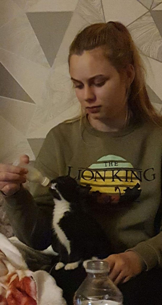 Illustration de l'article : Abandonné par sa mère et gravement malade, un chat ayant survécu par miracle suscite un bel élan de solidarité