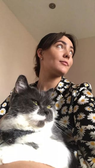Illustration de l'article : 15 photos de chats qui n'avaient pas l'habitude de se mettre sur les genoux de leur humain et qui l'ont fait pour la première fois