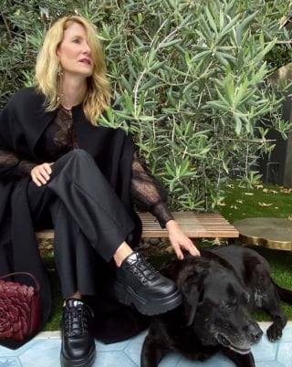 Illustration de l'article : Laura Dern, actrice phare du film « Jurassic Park », pleure la mort de son cher Labrador