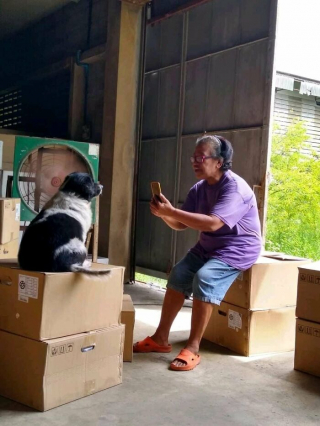 Illustration de l'article : 20 photos d'animaux qui font faire le plein d'ondes positives en un rien de temps