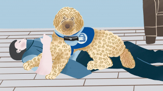Illustration de l'article : Gardes du corps, messagers, secouristes... découvrez les « Jobs de wouf » de nos amis les chiens dans ce livre joliment illustré !