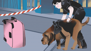 Illustration de l'article : Gardes du corps, messagers, secouristes... découvrez les « Jobs de wouf » de nos amis les chiens dans ce livre joliment illustré !
