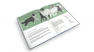 Illustration de l'article : Gardes du corps, messagers, secouristes... découvrez les « Jobs de wouf » de nos amis les chiens dans ce livre joliment illustré !
