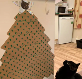 Illustration de l'article : 16 photos de chats qui n'ont pas pu résister à l'envie d'attaquer le sapin de Noël