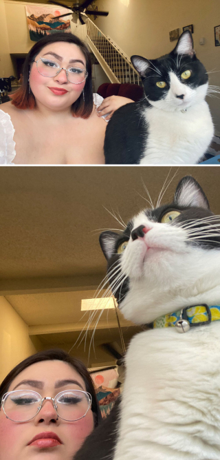 Illustration de l'article : Tel chat, tel maître : 20 photos déconcertantes montrant la similitude entre les félins et leurs humains