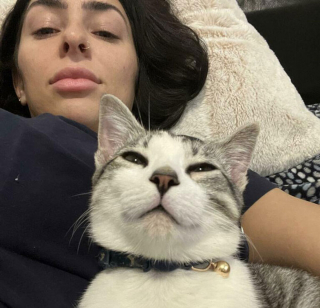 Illustration de l'article : Tel chat, tel maître : 20 photos déconcertantes montrant la similitude entre les félins et leurs humains