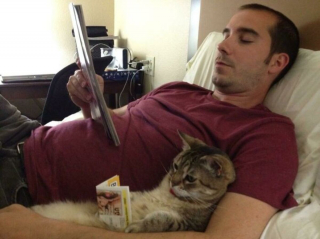 Illustration de l'article : Tel chat, tel maître : 20 photos déconcertantes montrant la similitude entre les félins et leurs humains