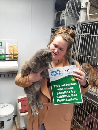 Illustration de l'article : Son chat disparu 2 mois plus tôt, elle tombe sur des photos familières sur le site d'un refuge situé à 3 heures de route