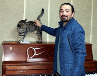 Illustration de l'article : Un chat découvert blessé dans une université en devient la mascotte