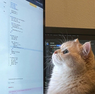 Illustration de l'article : 20 photos de chats nous laissant penser qu'ils vivent dans une tout autre dimension