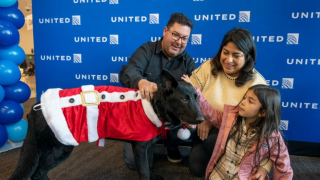 Illustration de l'article : Le sort d'un chien abandonné à l'aéroport par un passager attriste un pilote qui prend une magnifique décision