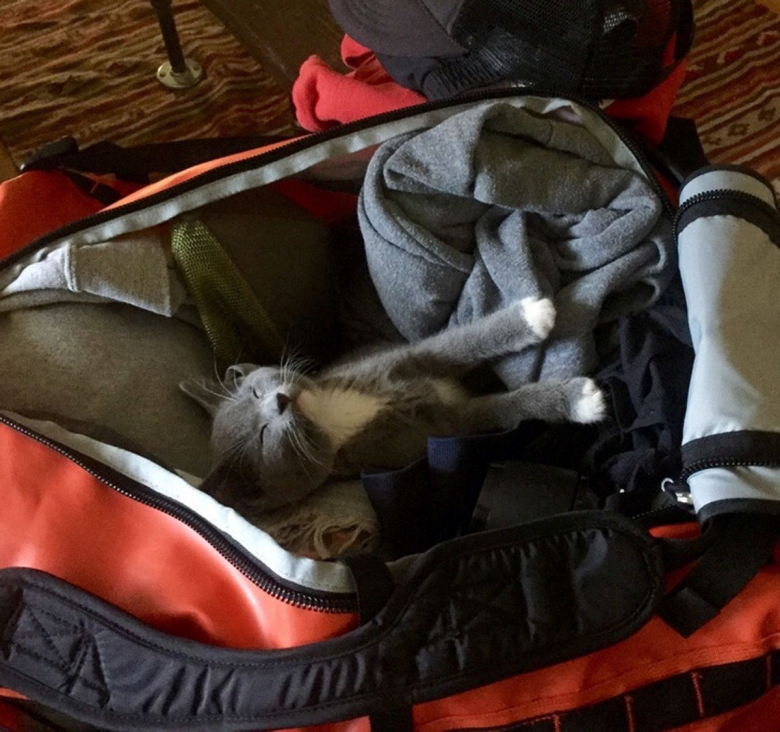 https://www.woopets.fr/assets/ckeditor/2022/feb/actualities/13076/xl/31988258d8a435210644b0c2fd.jpg