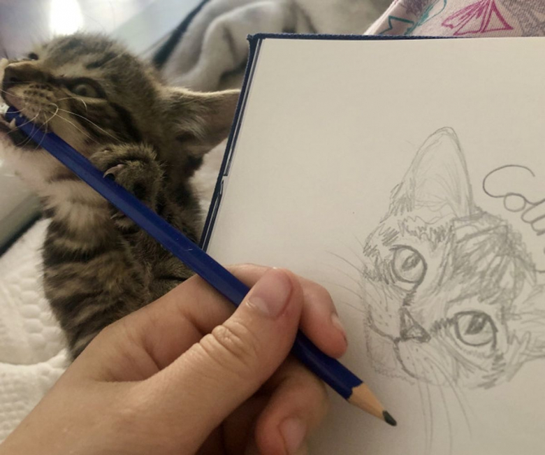 https://www.woopets.fr/assets/ckeditor/2022/feb/actualities/13076/xl/464db05937b0498ac6431b2bd7.jpg
