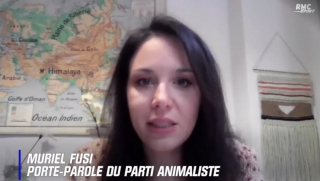 Illustration de l'article : Le Parti animaliste réclame la suspension de Kurt Zouma avec l'Equipe de France, coupable d'actes de cruauté sur son chat !
