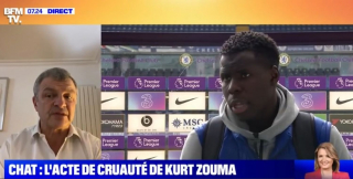 Illustration de l'article : Le Parti animaliste réclame la suspension de Kurt Zouma avec l'Equipe de France, coupable d'actes de cruauté sur son chat !