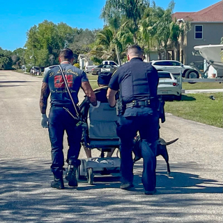 Illustration de l'article : En aboyant bruyamment, cette chienne sauve la vie de son propriétaire en fauteuil roulant tombé dans un lac