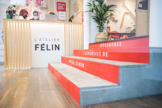 Illustration de l'article : Royal Canin a ouvert les portes de l'Atelier Félin, un espace dédié au bien-être et à l'équilibre de votre chat