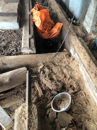 Illustration de l'article : Obligée de creuser dans la terre pour accoucher, une chienne détenue dans d’horribles conditions rêvait d’une vie meilleure pour elle et ses petits