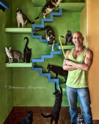 Illustration de l'article : Découvrez en 20 photos une maison spécialement aménagée pour une vingtaine de chats !