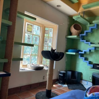 Illustration de l'article : Découvrez en 20 photos une maison spécialement aménagée pour une vingtaine de chats !