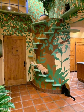 Illustration de l'article : Découvrez en 20 photos une maison spécialement aménagée pour une vingtaine de chats !