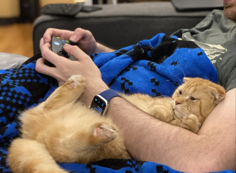 https://www.woopets.fr/assets/ckeditor/2022/feb/actualities/13201/xl/66722b5c41a0f206675a7d2770.jpg