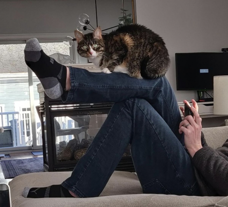 https://www.woopets.fr/assets/ckeditor/2022/feb/actualities/13201/xl/e81d9e54b79789ed113f3ca438.jpg