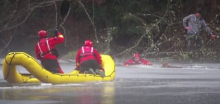 Illustration de l'article : Hypothermie et noyade menaçaient ce chien tombé dans un lac gelé, jusqu’à l’intervention héroïque des pompiers