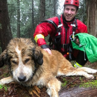 Illustration de l'article : Hypothermie et noyade menaçaient ce chien tombé dans un lac gelé, jusqu’à l’intervention héroïque des pompiers
