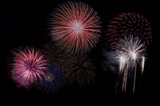 Illustration de l'article : 9 astuces pour calmer et rassurer votre chien pendant un orage ou un feu d'artifice